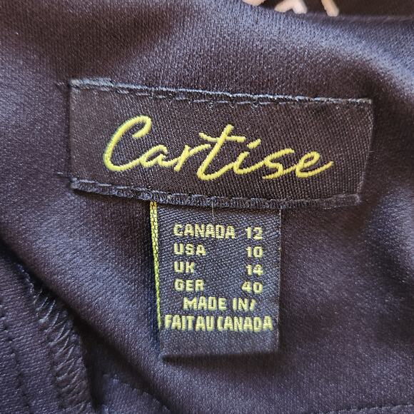 Cartise Sheath Dress Floral Chains Print, black, white, silver 3/4 sleeve sz 10 - Picture 3 of 12